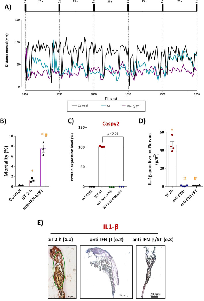Figure 2