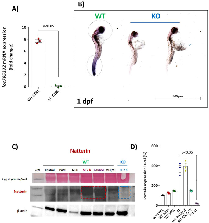 Figure 3