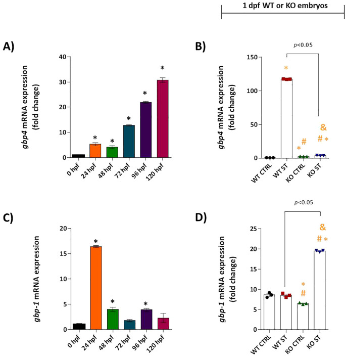 Figure 6