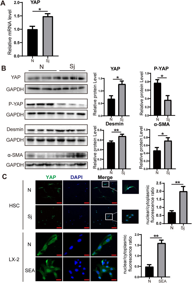 Figure 2