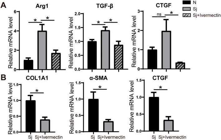Figure 6