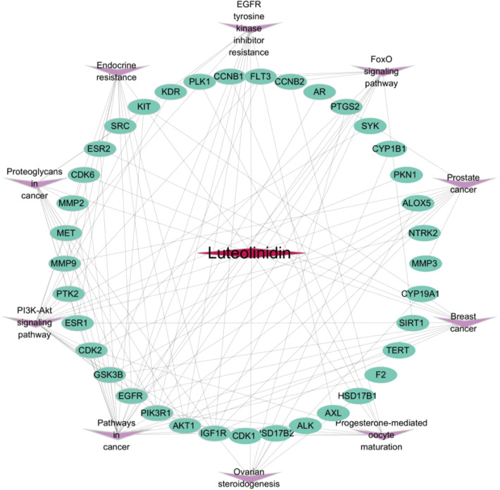 Figure 6
