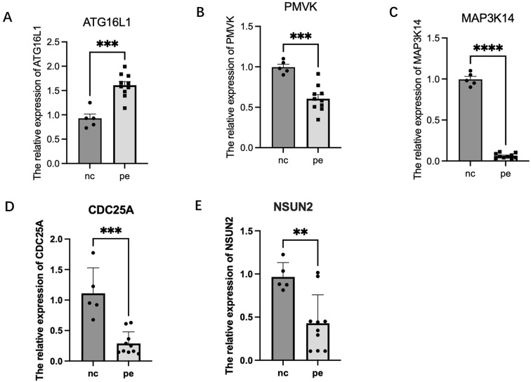 Figure 6