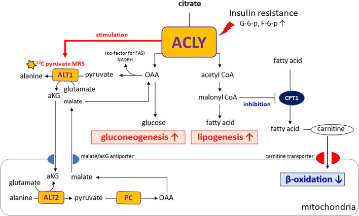 Figure 6