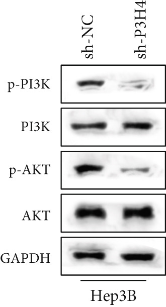 Figure 19