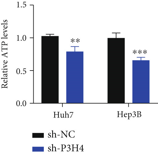 Figure 20