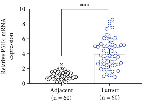 Figure 21