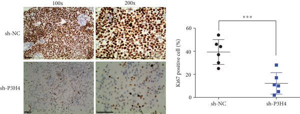 Figure 22