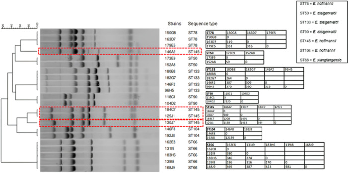 Figure 5