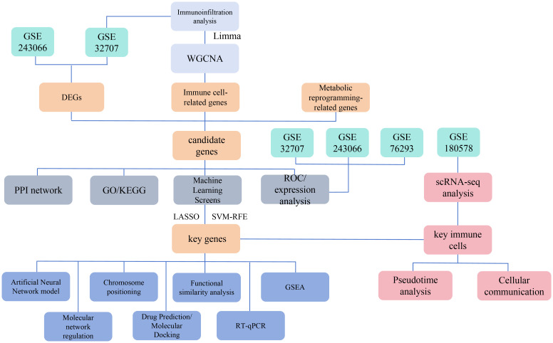 Figure 1