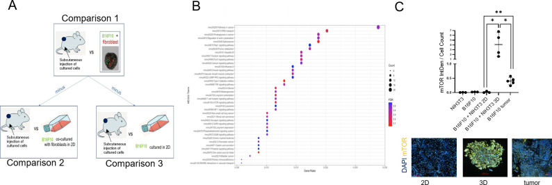 Figure 6