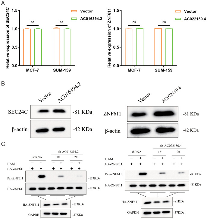 Figure 11