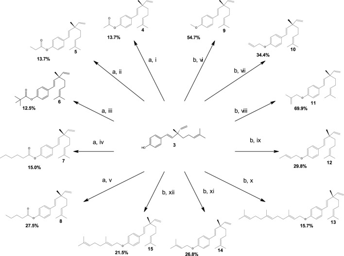 SCHEME 1