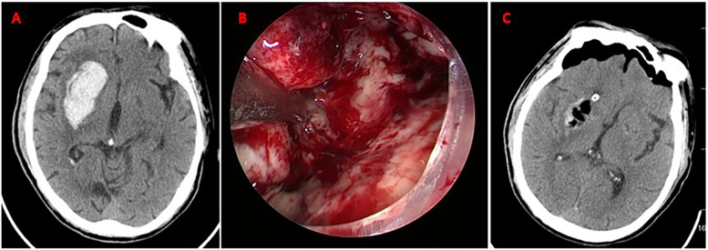 Figure 3