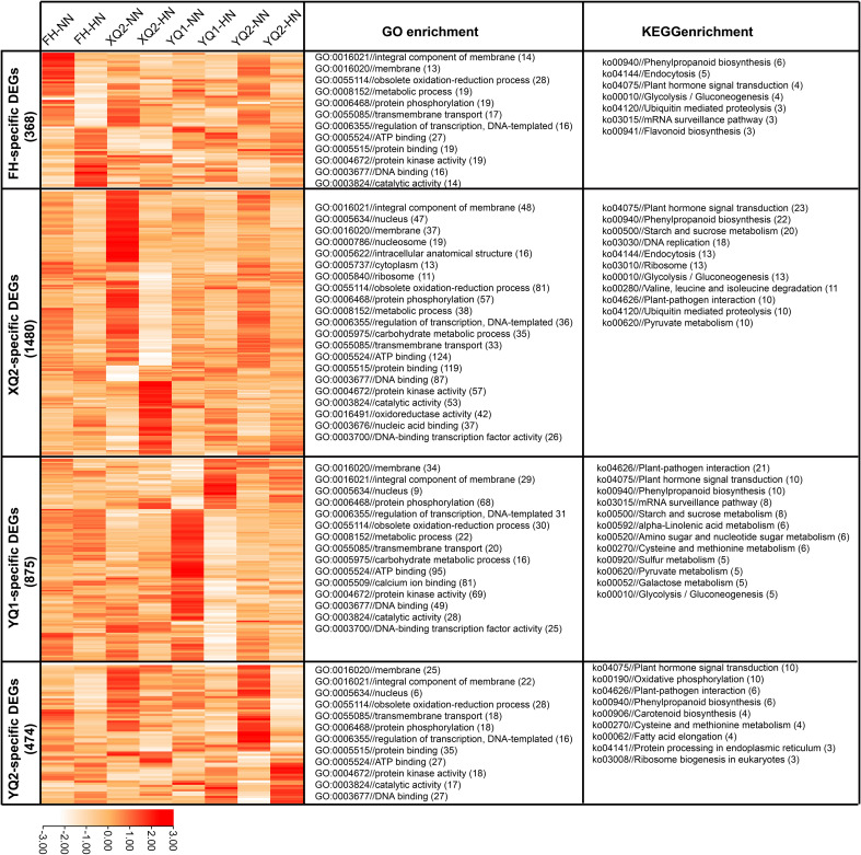 Figure 6