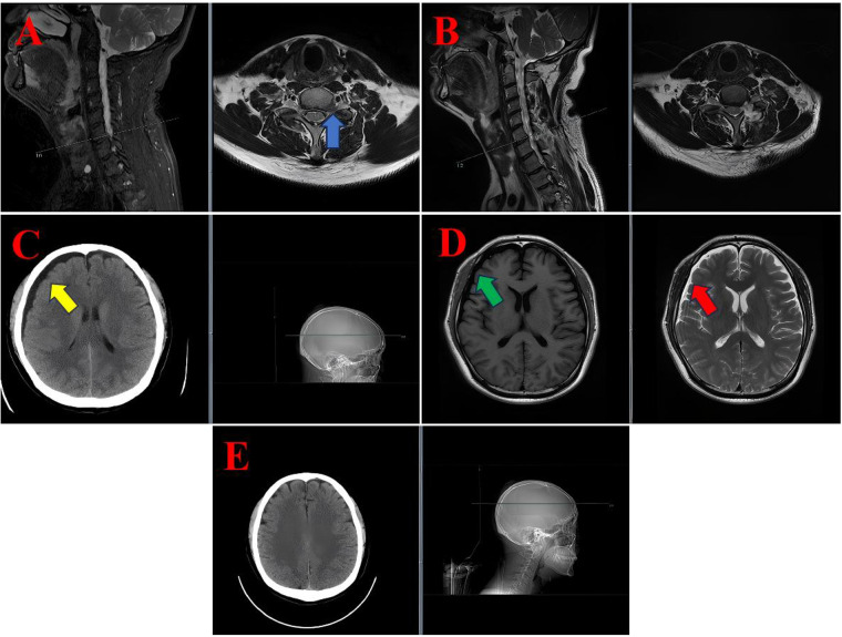 Figure 1