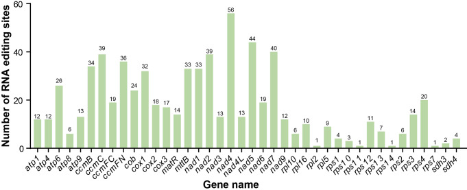 Figure 5