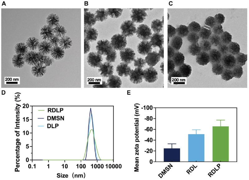 FIGURE 1