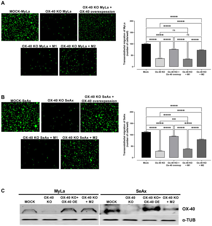 Figure 4