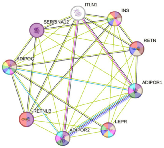 Figure 6
