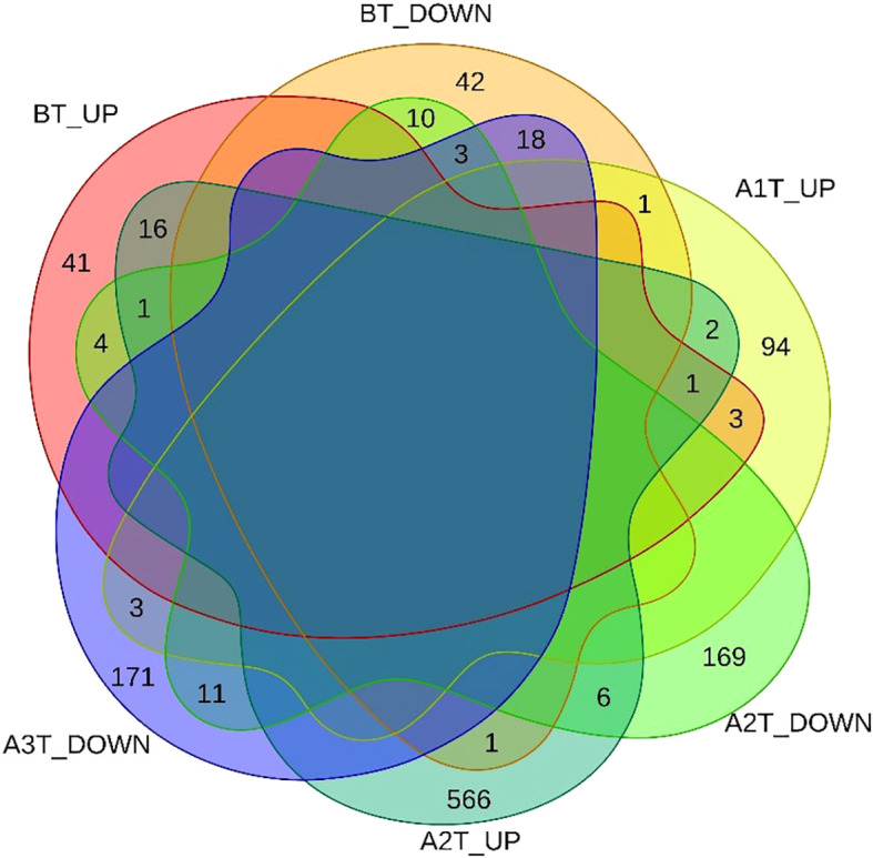 Figure 3