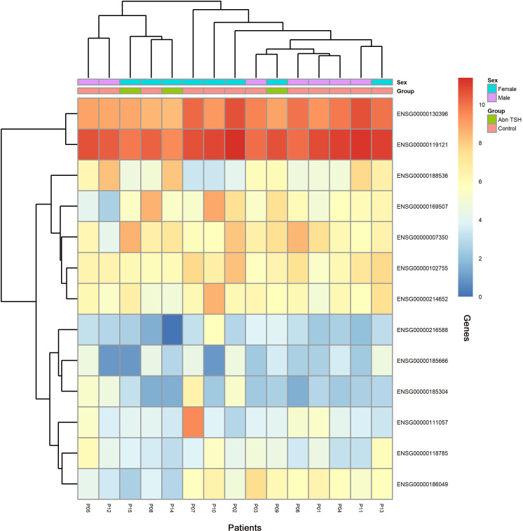 Figure 5