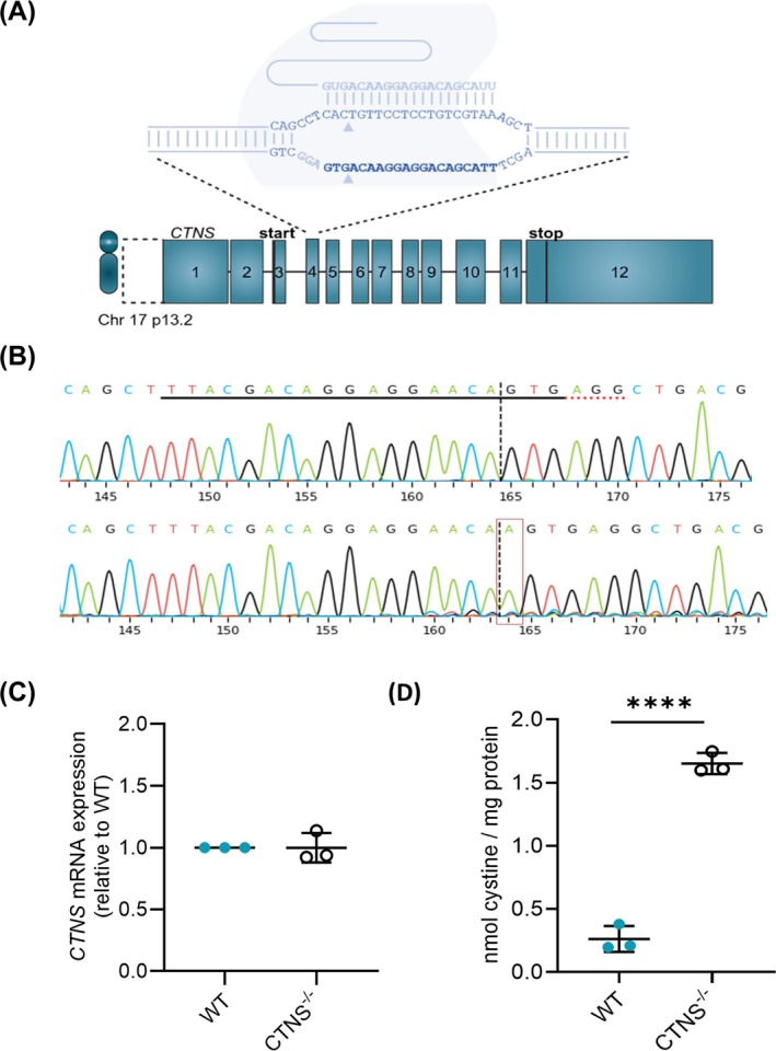 FIGURE 1