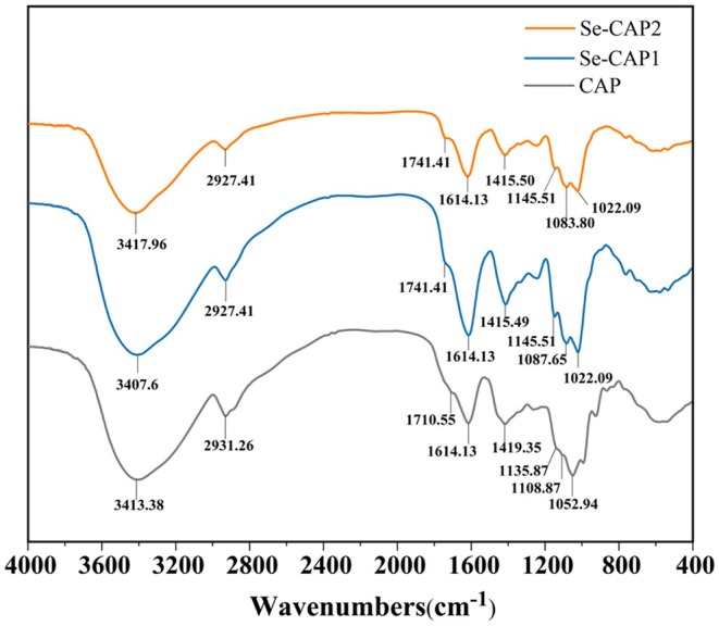 FIGURE 3