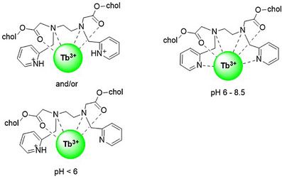 Scheme 3