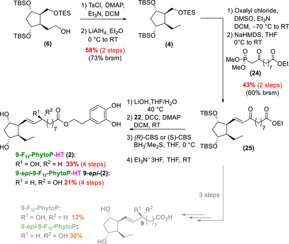 Scheme 8