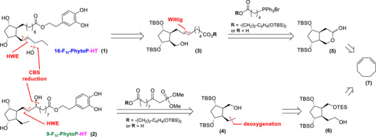Scheme 3