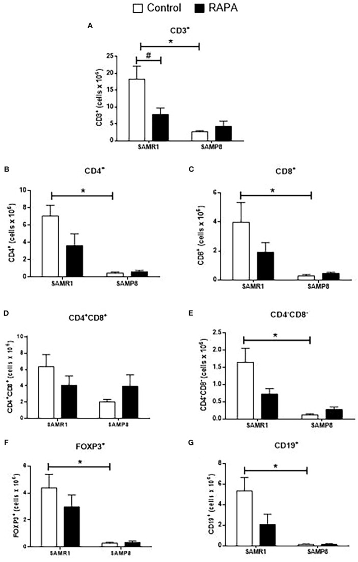 Figure 5