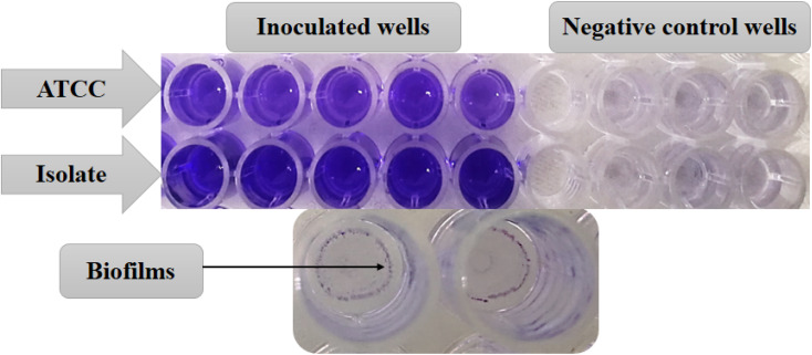 Fig. 11