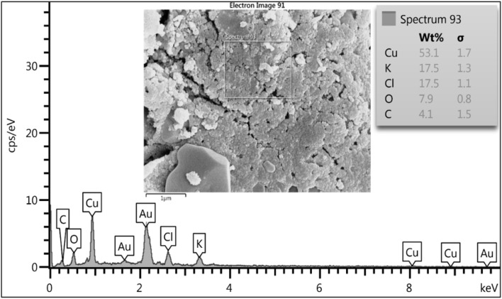 Fig. 7