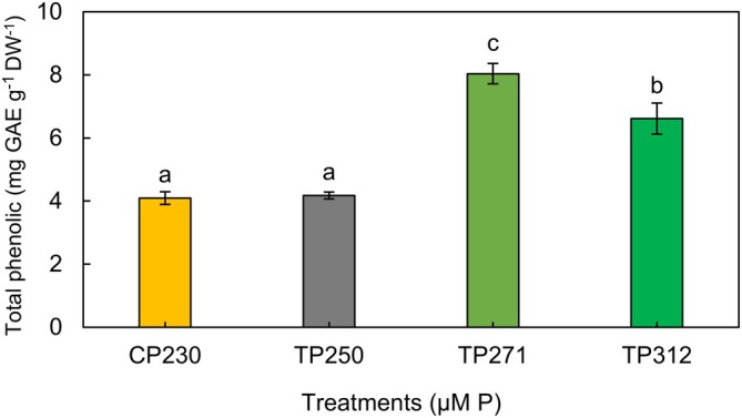 FIGURE 3