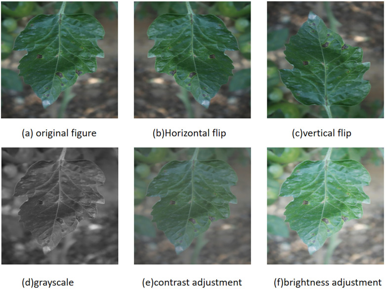 Figure 1