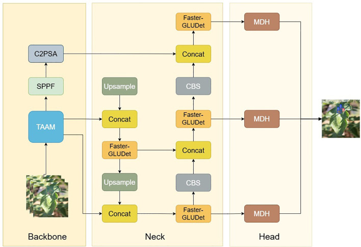 Figure 3