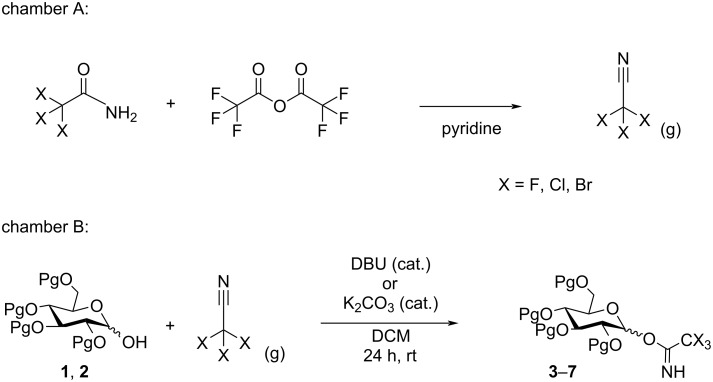 Scheme 1