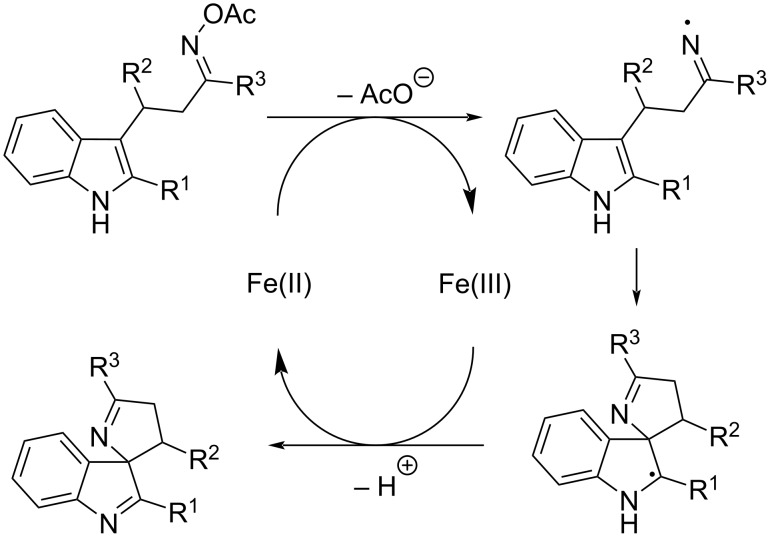 Scheme 4