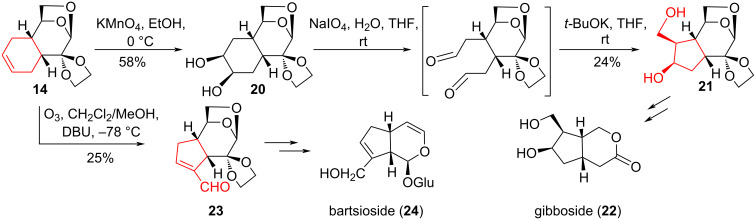 Scheme 4
