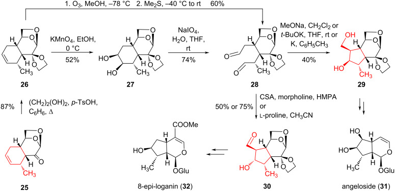 Scheme 5