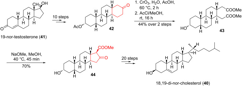 Scheme 8