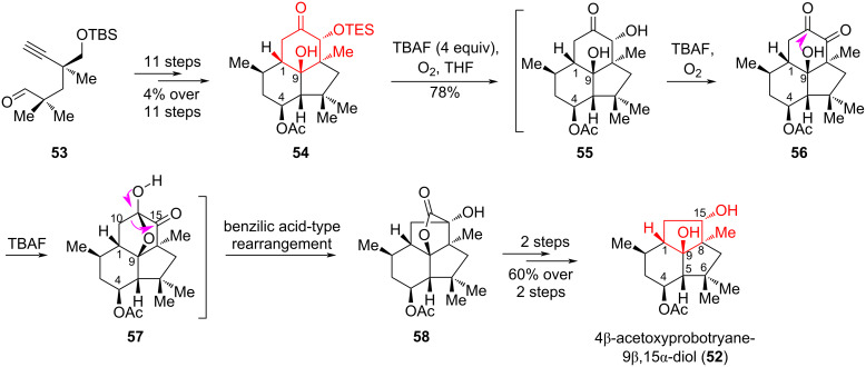 Scheme 10
