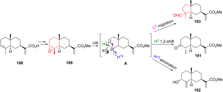 Scheme 33