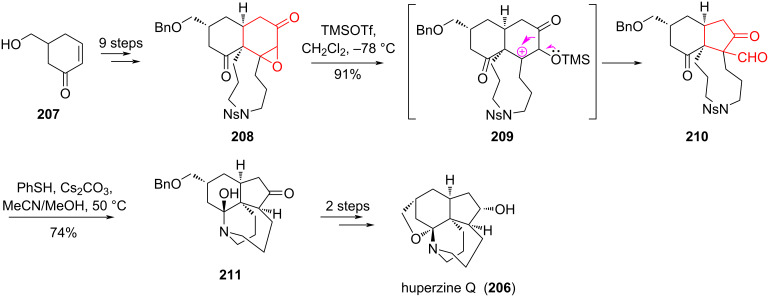 Scheme 37
