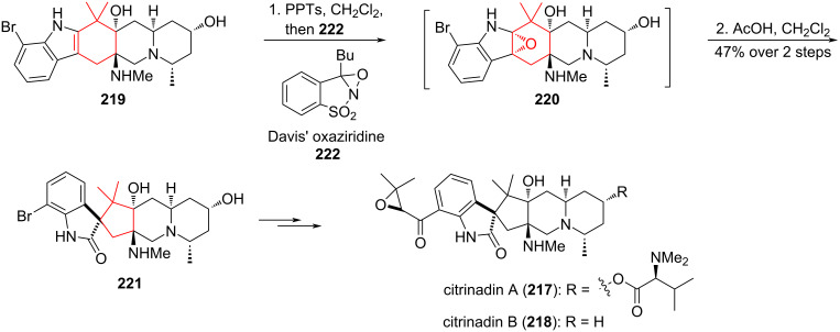 Scheme 39