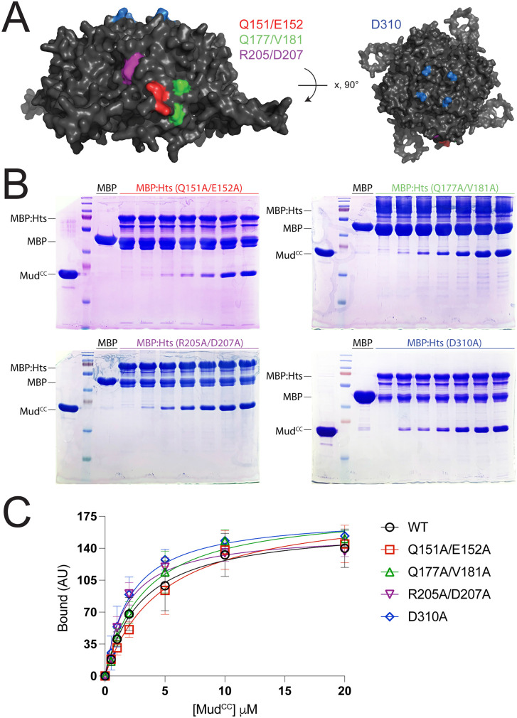 Fig 3