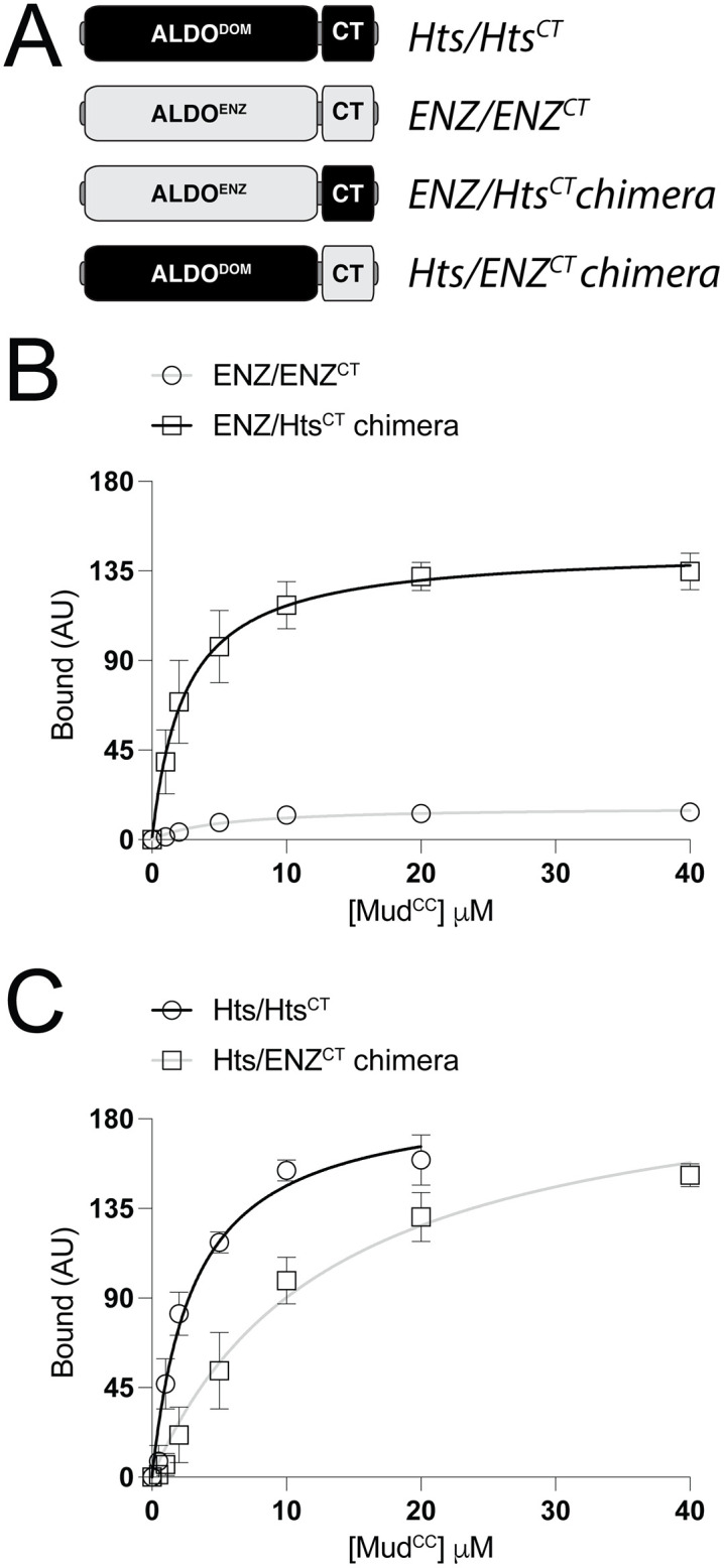 Fig 5