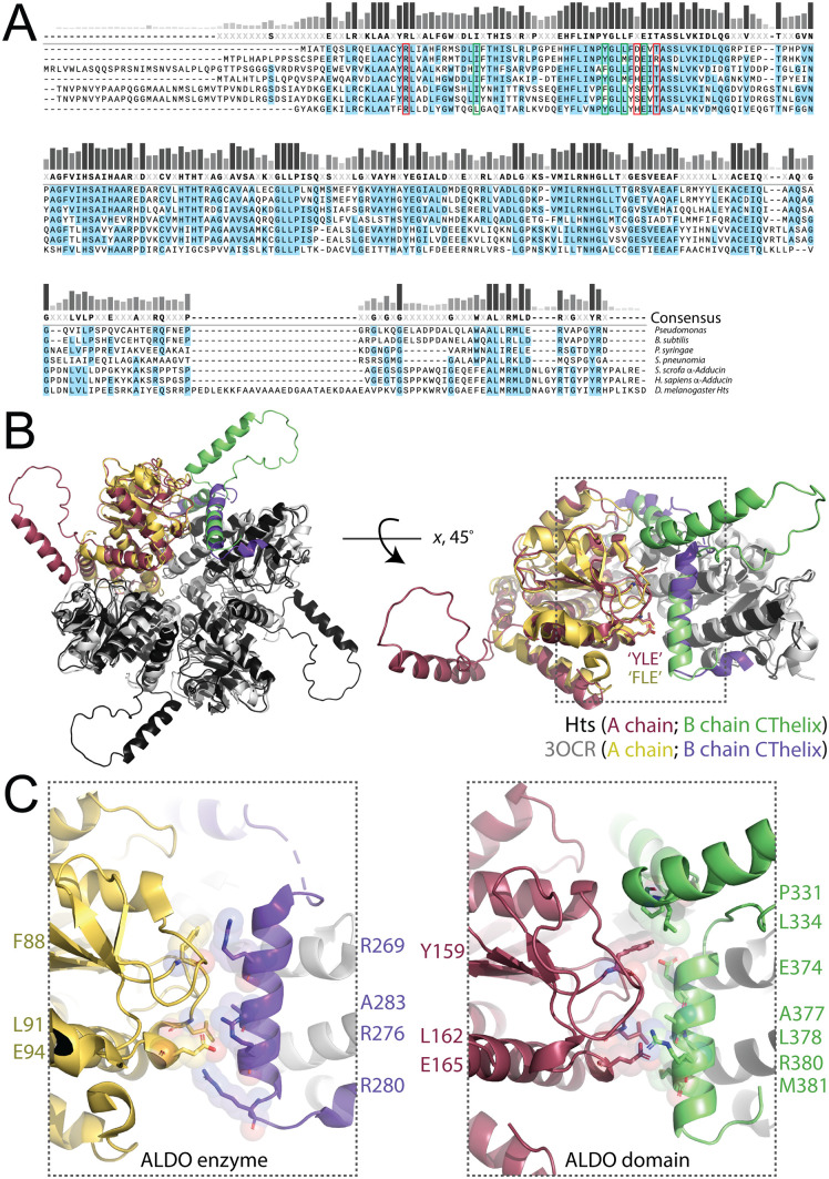 Fig 6