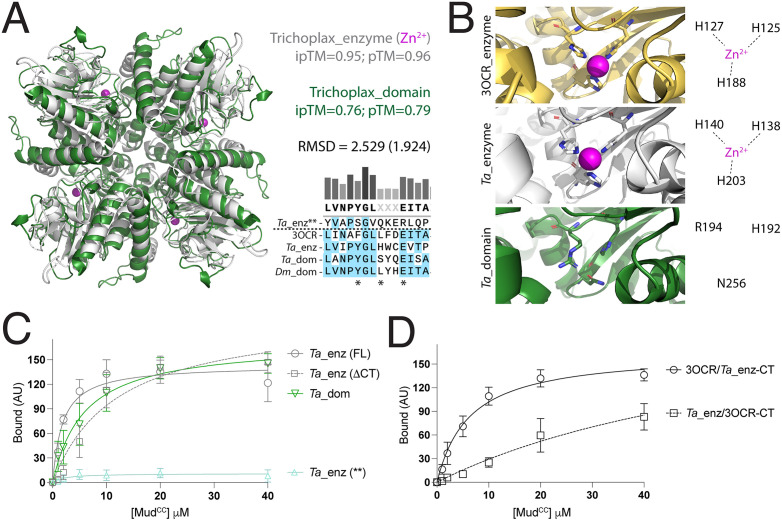 Fig 10